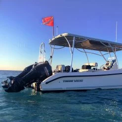 ANLEY 1-2/3 ft. x 2 ft. Diver Down Warning Flag with Removable Stiffening Pole -US Flora Bunda Sales 2022 anley house flags a flag dive 44 1000