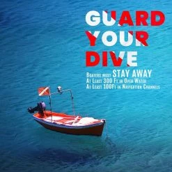 ANLEY 1-2/3 ft. x 2 ft. Diver Down Warning Flag with Removable Stiffening Pole -US Flora Bunda Sales 2022 anley house flags a flag dive fa 1000