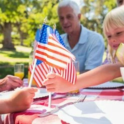 ANLEY 5 in. x 8 in. USA United States Mini Flag - Hand Held Small Miniature American US Flags on Stick (24-Pack) 15 ANLEY 5 in. x 8 in. USA United States Mini Flag - Hand Held Small Miniature American US Flags on Stick (24-Pack) -US Flora Bunda Sales 2022 anley house flags a flag mini us 5x8 24pc 76 1000