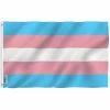 ANLEY Fly Breeze 3 ft. x 5 ft. Polyester Transgender Pride Flag 2-Sided Flag Banner with Brass Grommets and Canvas Header -US Flora Bunda Sales 2022 anley house flags a flag sp trans 64 1000