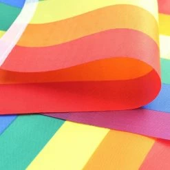 ANLEY 8 in. x 5.5 in. Assorted Rainbow String Flags 4 Mixed Flag Banners with LGBT (32-Piece) -US Flora Bunda Sales 2022 anley house flags a flag string lgbt 32pc 1f 1000