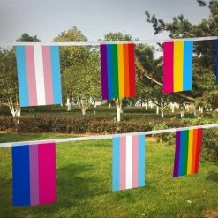 ANLEY 8 in. x 5.5 in. Assorted Rainbow String Flags 4 Mixed Flag Banners with LGBT (32-Piece) -US Flora Bunda Sales 2022 anley house flags a flag string lgbt 32pc 44 1000