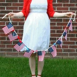 ANLEY 5.5 in. x 8.2 in. USA String Pennant Banner Patriotic Events 4th of July Independence Day Decoration Sports Bars 38 Flag -US Flora Bunda Sales 2022 anley house flags a flag string us fa 1000