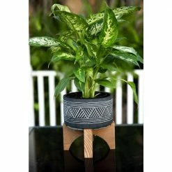 Flora Bunda 7 in. Black Mountain Cement Pot with Wood Stand Mid-Century Planter 9 Flora Bunda 7 in. Black Mountain Cement Pot with Wood Stand Mid-Century Planter -US Flora Bunda Sales 2022 black flora bunda plant pots ct506e bk 4f 1000