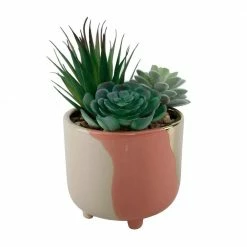 Flora Bunda 4.8 in. 3-Tone Blush Ceramic Footed Planter 7 Flora Bunda 4.8 in. 3-Tone Blush Ceramic Footed Planter -US Flora Bunda Sales 2022 blush flora bunda plant pots ct556e blush 4f 1000
