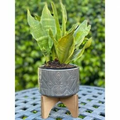 Flora Bunda 5 in. Glass Charcoal Black Pinwheel Ceramic Planter on Wood Stand Mid-Century Planter 7 Flora Bunda 5 in. Glass Charcoal Black Pinwheel Ceramic Planter on Wood Stand Mid-Century Planter -US Flora Bunda Sales 2022 glass black flora bunda plant pots ct1354e gscoal 4f 1000