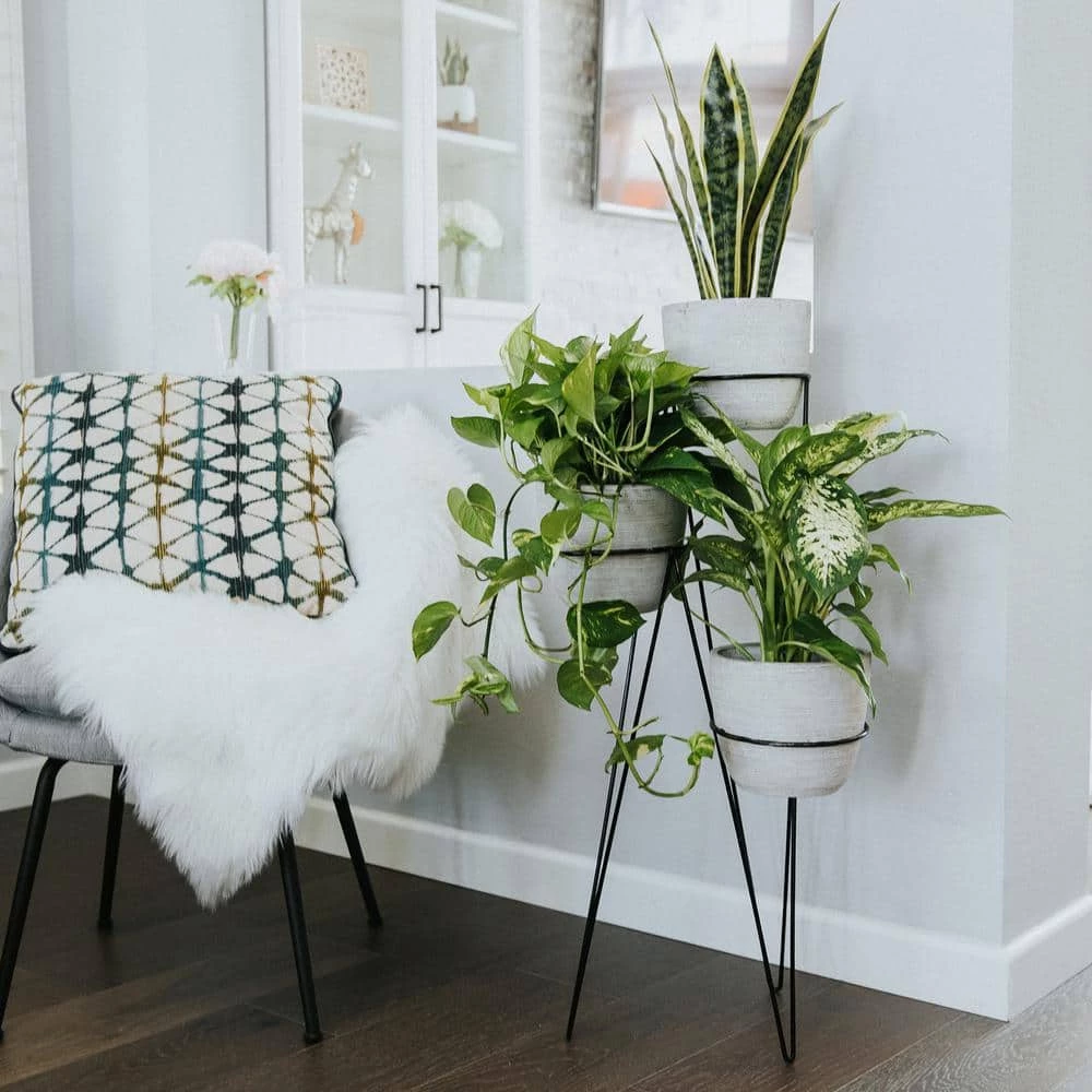 Flora Bunda 36 in. H 7 in. Gray Concrete 3-Tier Lava Cement Plant Pot Sets 6 Flora Bunda 36 in. H 7 in. Gray Concrete 3-Tier Lava Cement Plant Pot Sets - Image 4