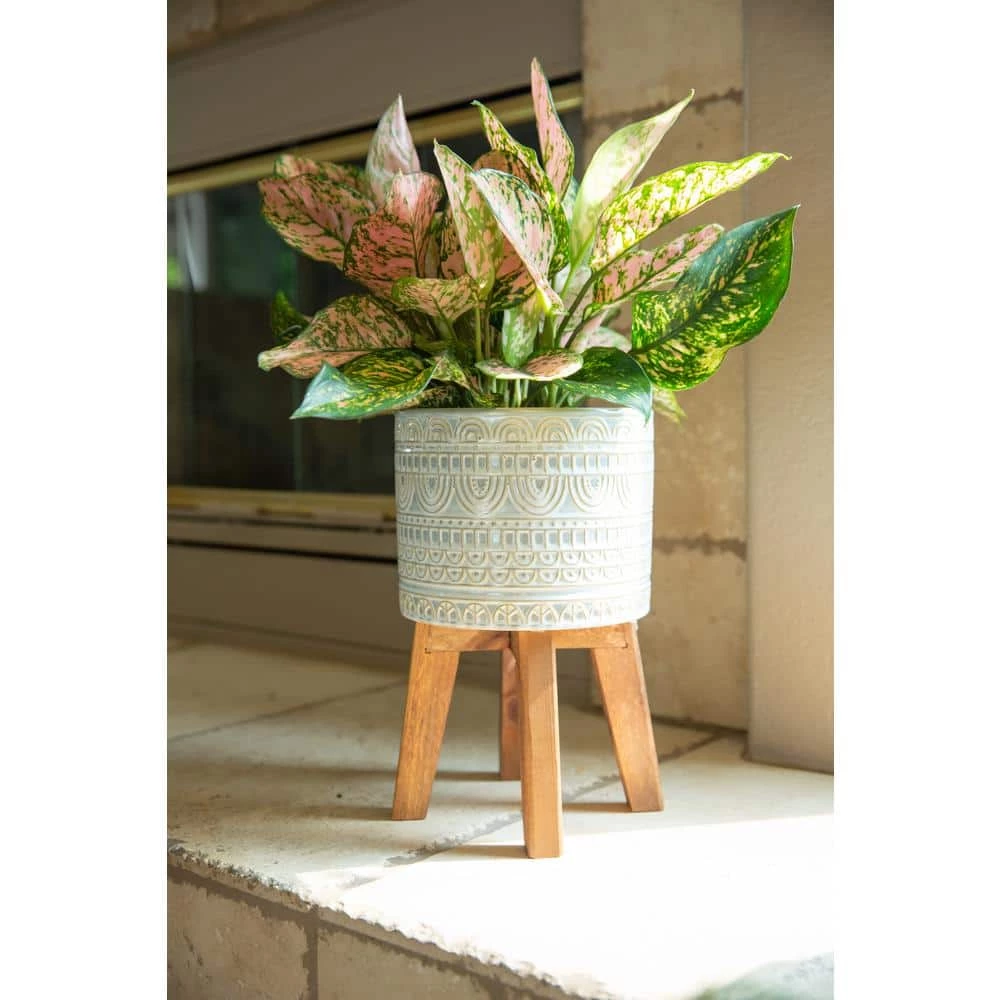 Flora Bunda 10 in. and 8 in. Ivory White Aqueduct Ceramic Plant Pot on Wood Stand Mid Century Planter (Set of 2) 7 Flora Bunda 10 in. and 8 in. Ivory White Aqueduct Ceramic Plant Pot on Wood Stand Mid Century Planter (Set of 2) - Image 5