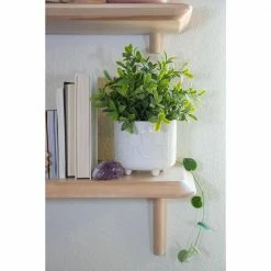 Flora Bunda 6 in. x 4.75 in. Hamsa Hand Footed Ceramic Planter, (Set of 2) 12 Flora Bunda 6 in. x 4.75 in. Hamsa Hand Footed Ceramic Planter, (Set of 2) -US Flora Bunda Sales 2022 ivory flora bunda plant pots ct1741e2 ivory 1f 1000