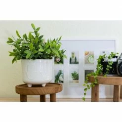 Flora Bunda 6 in. x 4.75 in. Hamsa Hand Footed Ceramic Planter, (Set of 2) 13 Flora Bunda 6 in. x 4.75 in. Hamsa Hand Footed Ceramic Planter, (Set of 2) -US Flora Bunda Sales 2022 ivory flora bunda plant pots ct1741e2 ivory 44 1000