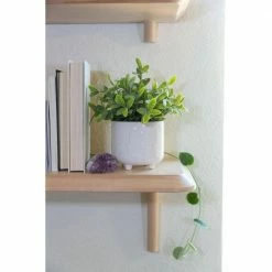 Flora Bunda 6 in. x 4.75 in. Hamsa Hand Footed Ceramic Planter, (Set of 2) 15 Flora Bunda 6 in. x 4.75 in. Hamsa Hand Footed Ceramic Planter, (Set of 2) -US Flora Bunda Sales 2022 ivory flora bunda plant pots ct1741e2 ivory 76 1000