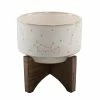 Flora Bunda 4 in. Ivory Ceramic Constellation Pot on Wood Stand Mid-Century Planter