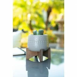 Flora Bunda 3.5 in. Matte Light Gray Mayan Ceramic on Stand Mid-Century Planter -US Flora Bunda Sales 2022 light gray flora bunda plant pots ct696e ltgy 1f 1000