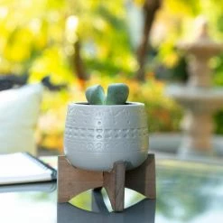Flora Bunda 3.5 in. Matte Light Gray Mayan Ceramic on Stand Mid-Century Planter -US Flora Bunda Sales 2022 light gray flora bunda plant pots ct696e ltgy 4f 1000