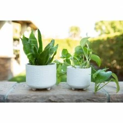 Flora Bunda 6 in. x 4.75 in. Hiero Footed Ceramic Planter, (Set of 2) 10 Flora Bunda 6 in. x 4.75 in. Hiero Footed Ceramic Planter, (Set of 2) -US Flora Bunda Sales 2022 matte white flora bunda plant pots ct1092e2 mtwh 1f 1000