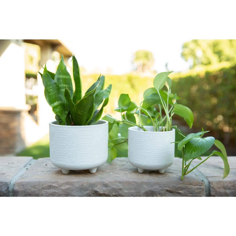 Flora Bunda 6 in. x 4.75 in. Hiero Footed Ceramic Planter, (Set of 2) 6 Flora Bunda 6 in. x 4.75 in. Hiero Footed Ceramic Planter, (Set of 2) - Image 4