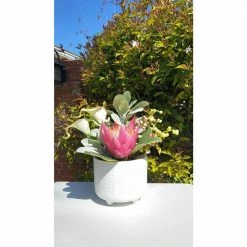 Flora Bunda 6 in. x 4.75 in. Hiero Footed Ceramic Planter, (Set of 2) 11 Flora Bunda 6 in. x 4.75 in. Hiero Footed Ceramic Planter, (Set of 2) -US Flora Bunda Sales 2022 matte white flora bunda plant pots ct1092e2 mtwh 44 1000