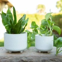 Flora Bunda 6 in. x 4.75 in. Hiero Footed Ceramic Planter, (Set of 2) 9 Flora Bunda 6 in. x 4.75 in. Hiero Footed Ceramic Planter, (Set of 2) -US Flora Bunda Sales 2022 matte white flora bunda plant pots ct1092e2 mtwh 4f 1000