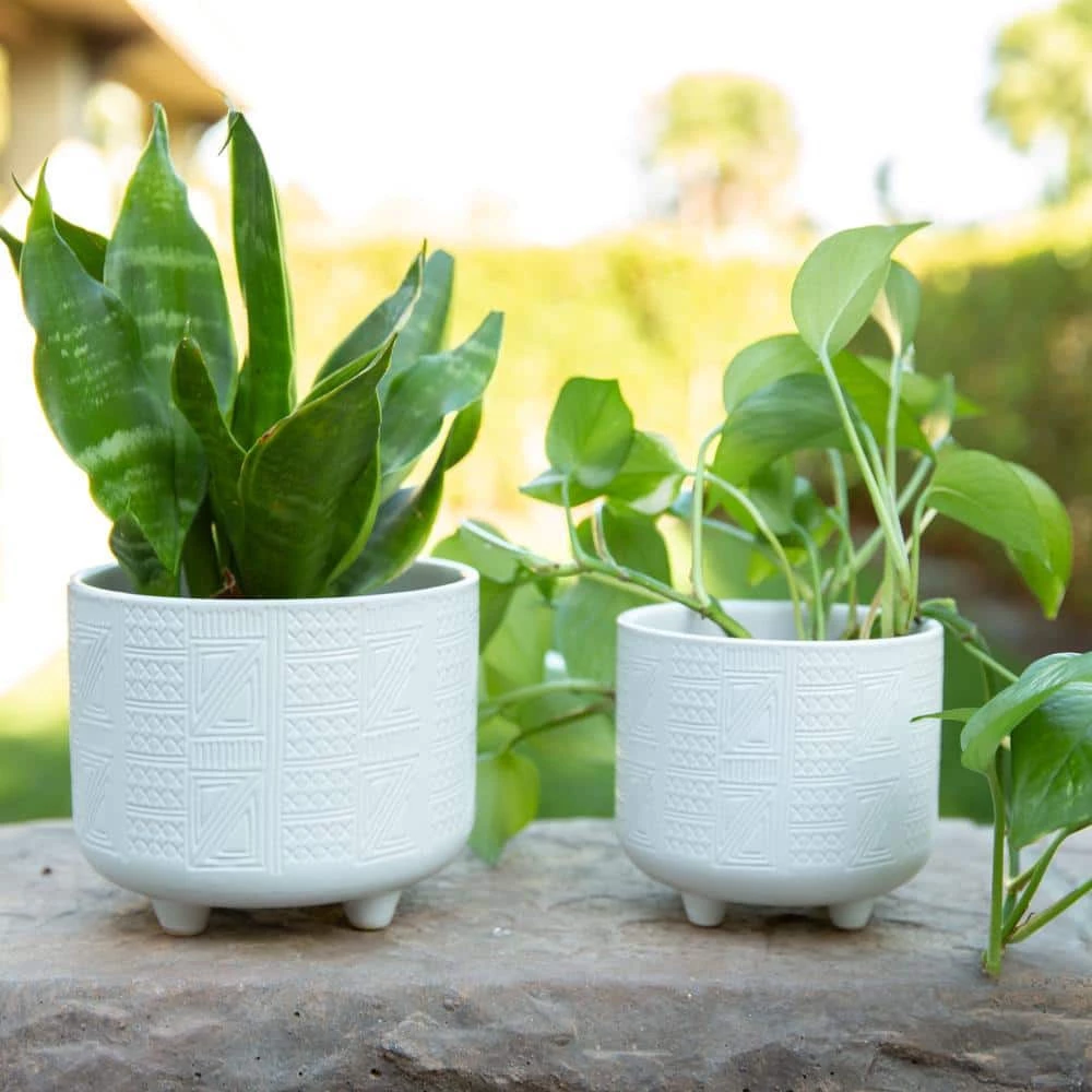Flora Bunda 6 in. x 4.75 in. Hiero Footed Ceramic Planter, (Set of 2) 5 Flora Bunda 6 in. x 4.75 in. Hiero Footed Ceramic Planter, (Set of 2) - Image 3