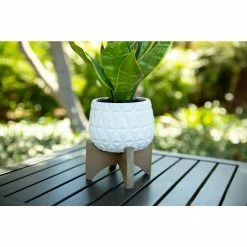 Flora Bunda 5 in. Matte White Kaleid Ceramic on Wood Stand Mid-Century Planter 9 Flora Bunda 5 in. Matte White Kaleid Ceramic on Wood Stand Mid-Century Planter -US Flora Bunda Sales 2022 matte white flora bunda plant pots ct1223e mtwh 1f 1000