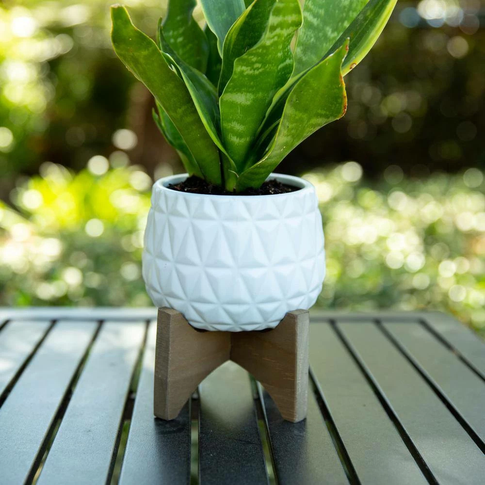 Flora Bunda 5 in. Matte White Kaleid Ceramic on Wood Stand Mid-Century Planter 5 Flora Bunda 5 in. Matte White Kaleid Ceramic on Wood Stand Mid-Century Planter - Image 3