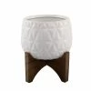Flora Bunda 5 in. Matte White Kaleid Ceramic on Wood Stand Mid-Century Planter 2 Flora Bunda 5 in. Matte White Kaleid Ceramic on Wood Stand Mid-Century Planter -US Flora Bunda Sales 2022 matte white flora bunda plant pots ct1223e mtwh 64 1000