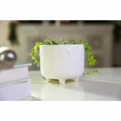 Flora Bunda 6 in. and 4.75 in. Matte White Evil Eye Ceramic Plant Pot with Legs (Set of 2) -US Flora Bunda Sales 2022 matte white flora bunda plant pots ct1423e2 mtwh 66 1000