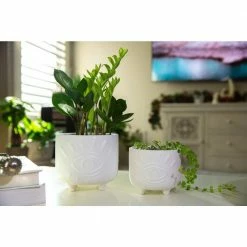 Flora Bunda 6 in. and 4.75 in. Matte White Evil Eye Ceramic Plant Pot with Legs (Set of 2) -US Flora Bunda Sales 2022 matte white flora bunda plant pots ct1423e2 mtwh fa 1000