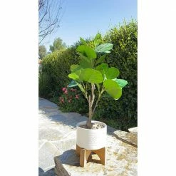 Flora Bunda 7 in. Matte White Mountain Ceramic Pot on Wood Stand Mid-Century Planter 9 Flora Bunda 7 in. Matte White Mountain Ceramic Pot on Wood Stand Mid-Century Planter -US Flora Bunda Sales 2022 matte white flora bunda plant pots ct871e mtwh 31 1000