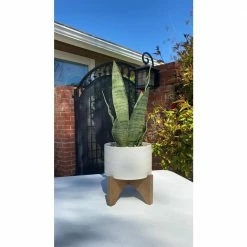 Flora Bunda 5 in. Matte White Arrow Ceramic Plant Pot on Wood Stand Mid-Century Planter -US Flora Bunda Sales 2022 matte white flora bunda plant pots ct872e mtwh 31 1000