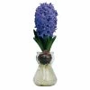 National PLANT NETWORK Fragrant Blue Hyacinth Bulb with Forcing Vase -US Flora Bunda Sales 2022 national plant network flower bulbs hd7545 64 1000