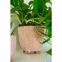 Flora Bunda 6 in. x 4 in. Terracotta Orange Chevron Ceramic Footed Pot (Set of 2) 15 Flora Bunda 6 in. x 4 in. Terracotta Orange Chevron Ceramic Footed Pot (Set of 2) -US Flora Bunda Sales 2022 orange flora bunda plant pots ct837e2 or 1f 1000