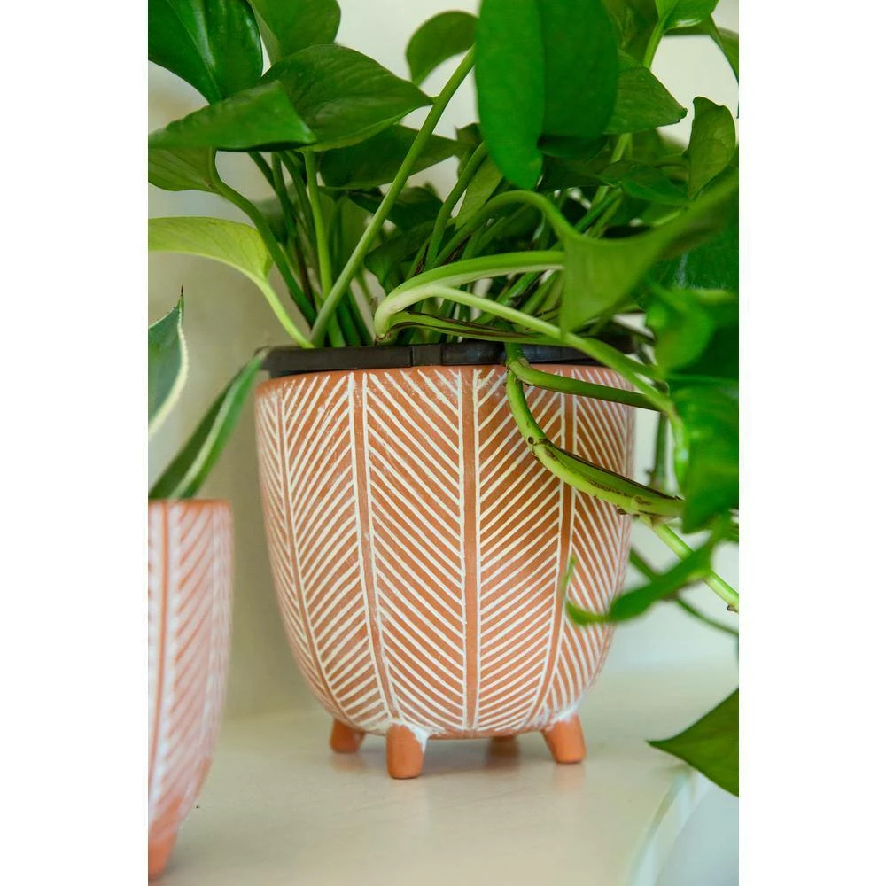 Flora Bunda 6 in. x 4 in. Terracotta Orange Chevron Ceramic Footed Pot (Set of 2) 8 Flora Bunda 6 in. x 4 in. Terracotta Orange Chevron Ceramic Footed Pot (Set of 2) - Image 6