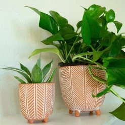 Flora Bunda 6 in. x 4 in. Terracotta Orange Chevron Ceramic Footed Pot (Set of 2) 14 Flora Bunda 6 in. x 4 in. Terracotta Orange Chevron Ceramic Footed Pot (Set of 2) -US Flora Bunda Sales 2022 orange flora bunda plant pots ct837e2 or 4f 1000