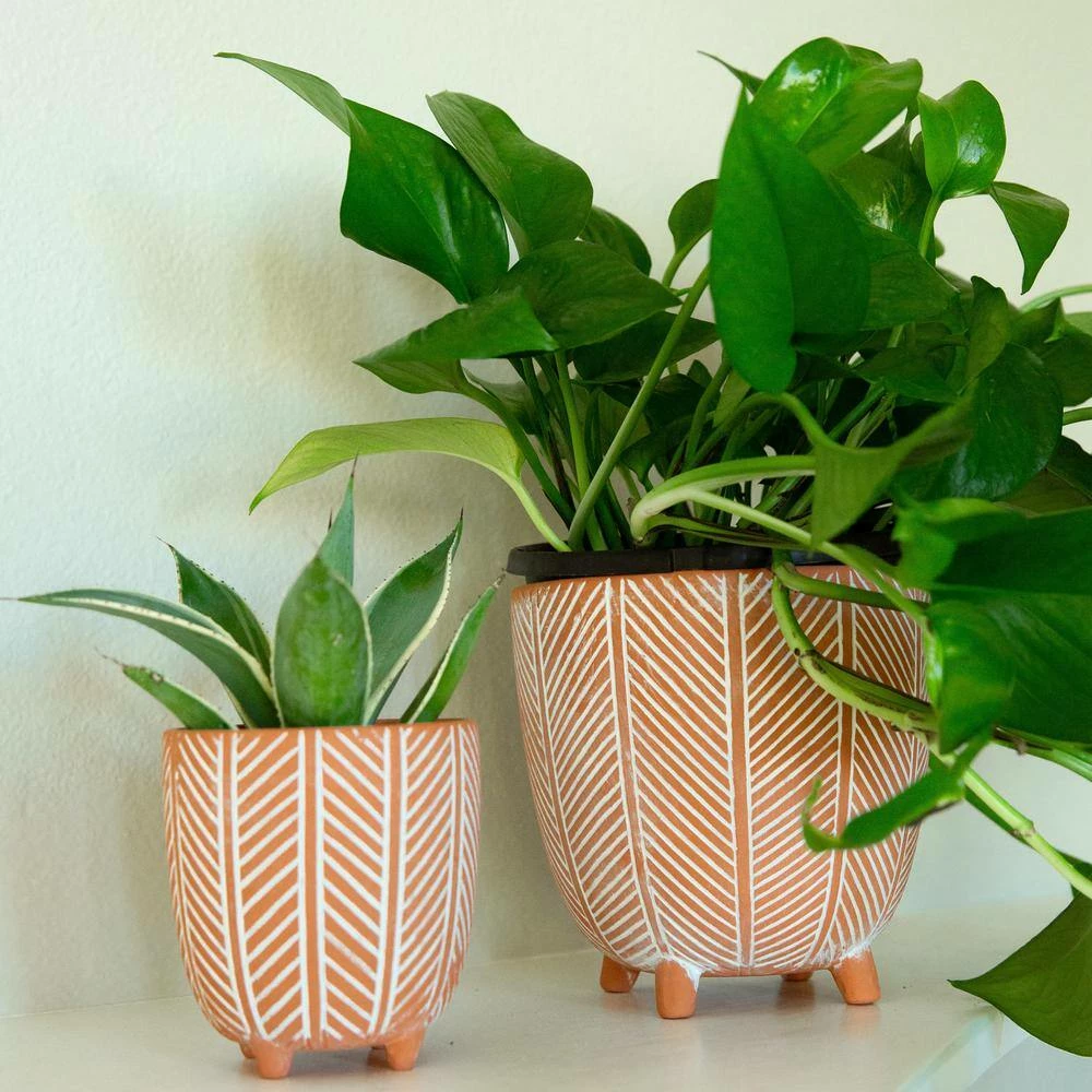 Flora Bunda 6 in. x 4 in. Terracotta Orange Chevron Ceramic Footed Pot (Set of 2) 7 Flora Bunda 6 in. x 4 in. Terracotta Orange Chevron Ceramic Footed Pot (Set of 2) - Image 5