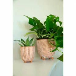 Flora Bunda 6 in. x 4 in. Terracotta Orange Chevron Ceramic Footed Pot (Set of 2) 17 Flora Bunda 6 in. x 4 in. Terracotta Orange Chevron Ceramic Footed Pot (Set of 2) -US Flora Bunda Sales 2022 orange flora bunda plant pots ct837e2 or fa 1000