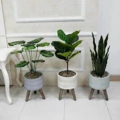 Flora Bunda 10 in. White Tribal Fiberglass Pot with Wood Stand Mid-Century Planter 9 Flora Bunda 10 in. White Tribal Fiberglass Pot with Wood Stand Mid-Century Planter -US Flora Bunda Sales 2022 white flora bunda plant pots ctf216e wh 1f 1000