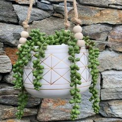 Flora Bunda 6 in. White/Gold Line Geometric Ceramic Hanging Planter with Beads 12 Flora Bunda 6 in. White/Gold Line Geometric Ceramic Hanging Planter with Beads -US Flora Bunda Sales 2022 white gold flora bunda plant pots ct593e gd 1f 1000