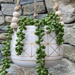 Flora Bunda 6 in. White/Gold Line Geometric Ceramic Hanging Planter with Beads 11 Flora Bunda 6 in. White/Gold Line Geometric Ceramic Hanging Planter with Beads -US Flora Bunda Sales 2022 white gold flora bunda plant pots ct593e gd 4f 1000