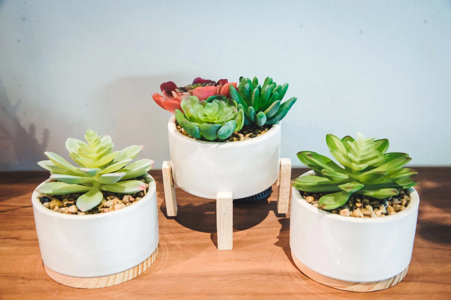 US Flora Bunda Sales 2022 2 US Flora Bunda Sales 2022 -US Flora Bunda Sales 2022 467