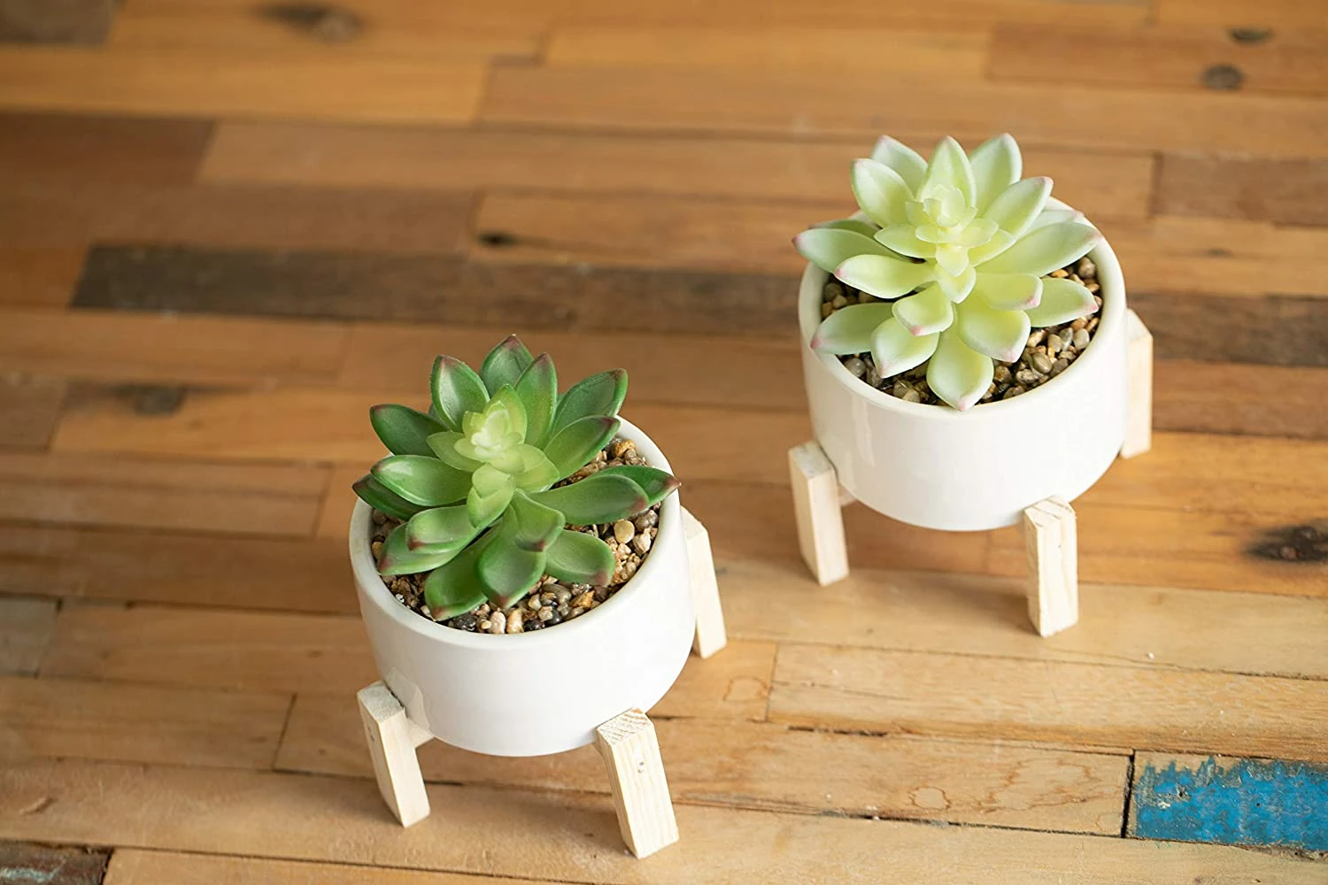 US Flora Bunda Sales 2022 3 US Flora Bunda Sales 2022 -US Flora Bunda Sales 2022 468